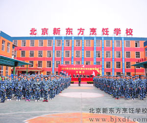 �ڳ�ȫ�����������ӻ�������Ĺ���