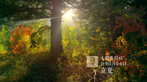 ��ʲô��ӭ���㣬���죡