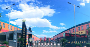 �и߿�����ѡһ�������͵�ѧУ