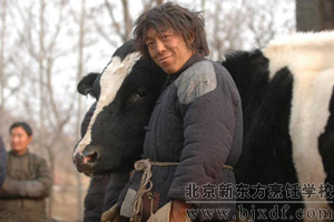 ����ţ���лƲ����ݴ���ţ�����Գ�ɫ�������½���Ӱ��