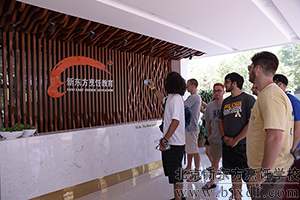 ��������Ƭ