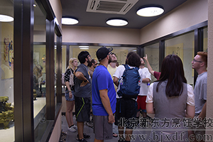 �л����ԴԶ����������