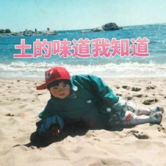 ʮһ�£�ע����Ҫ�ԡ������ļ���