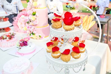 ������˶ཿ���������Ի�������