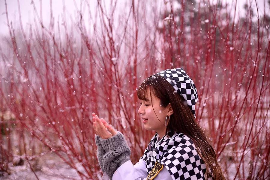 ��У԰���ġ�ڤڤ֮����һ���������ٻ��һ�ѧУ������