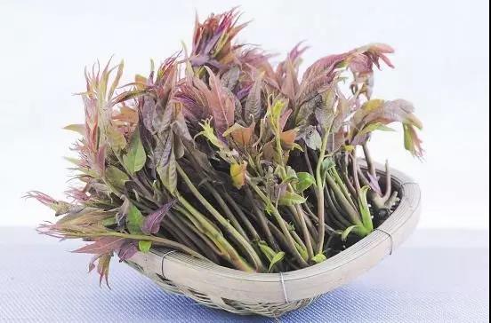 ������ů�������Ũ | ����֪��ζ ������һ�� ��ζ��Ҫ�ٵ�һ��